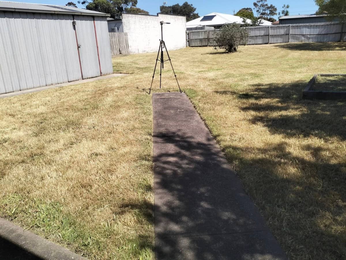 Lawn Recovery after — Beast Gardening