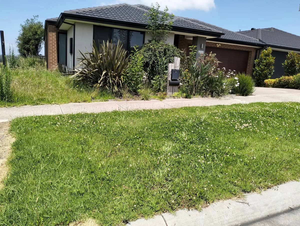 Front Yard Mowing — before