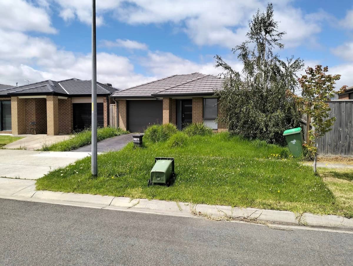 Front Yard Cleanup before — Beast Gardening