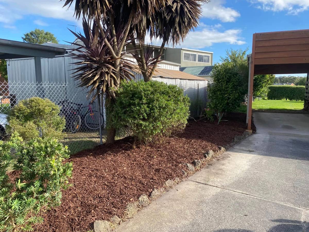 Garden Bed Makeover after — Beast Gardening