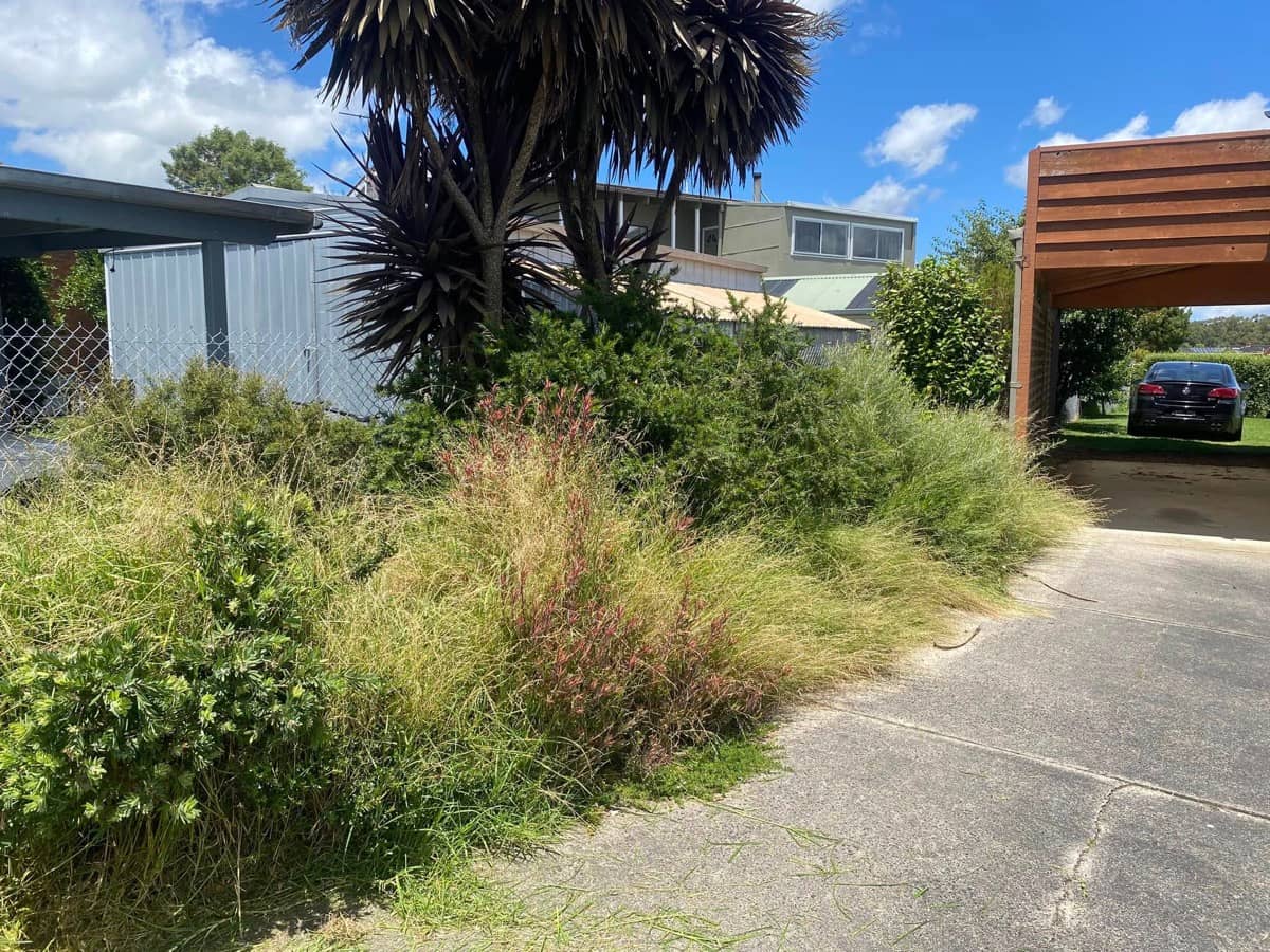Garden Bed Makeover before — Beast Gardening