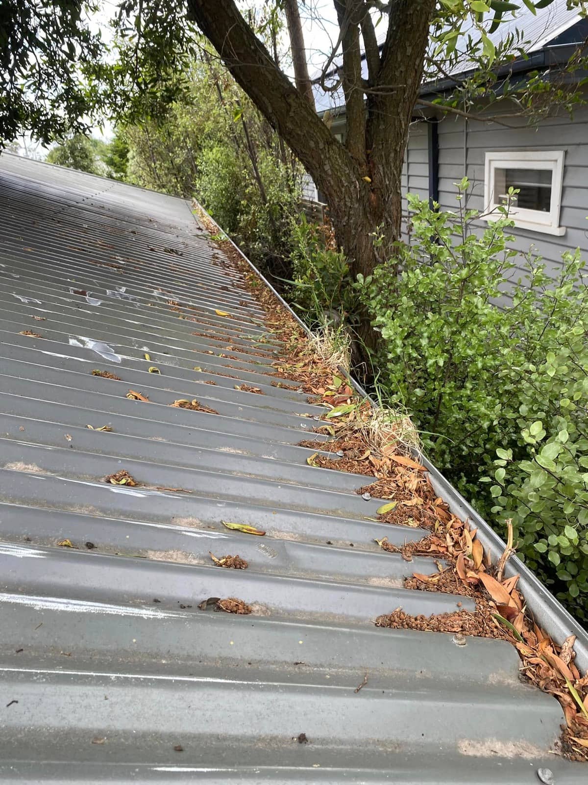 Gutter Cleaning — before