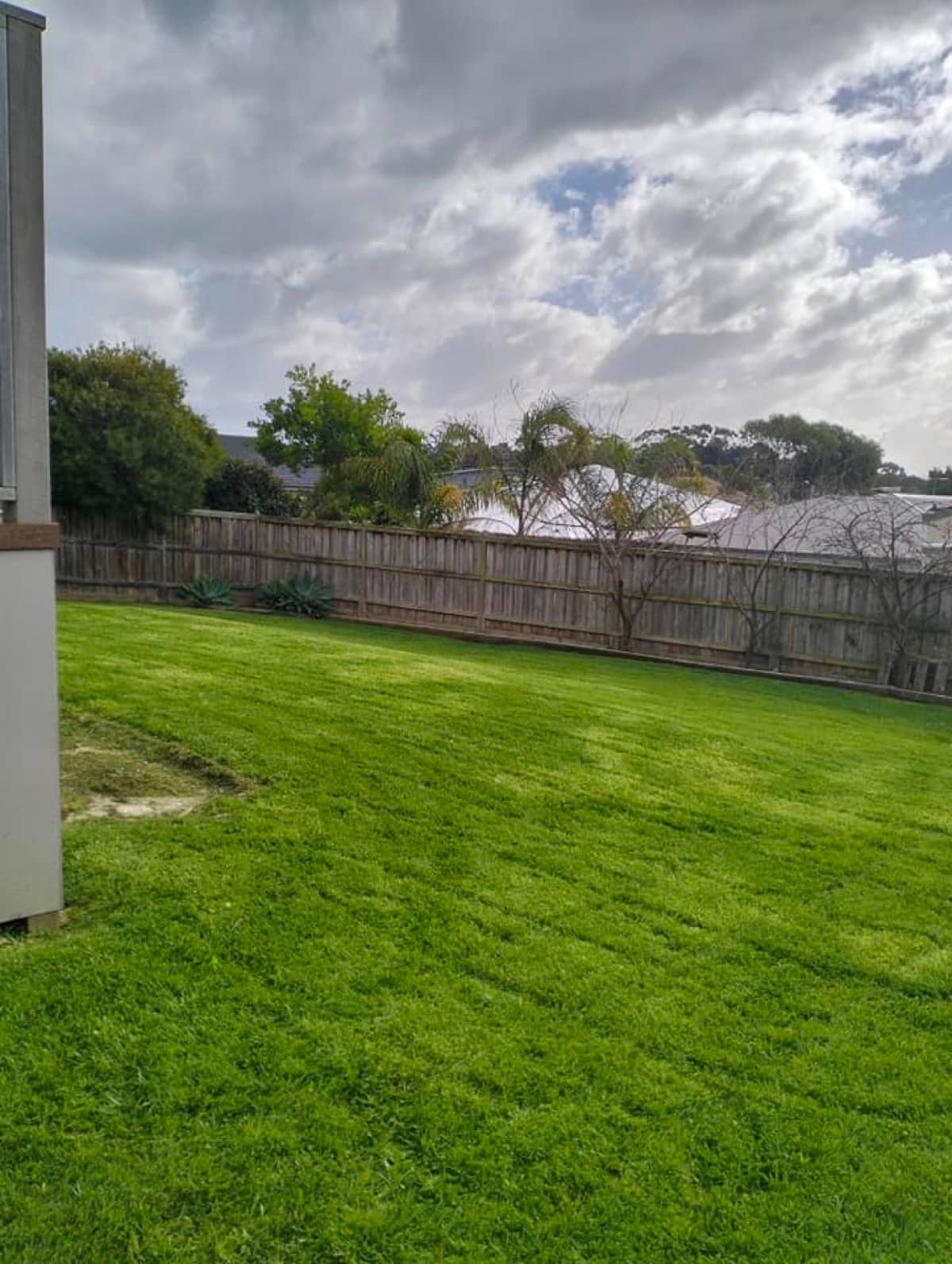 Clean Mow