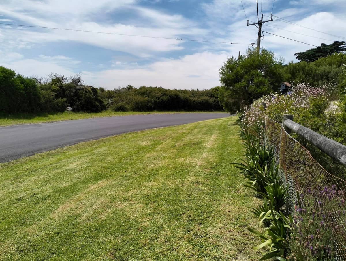 Roadside Verge