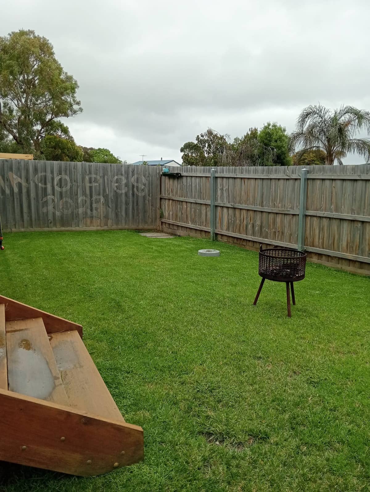 Backyard Lawn